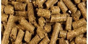 Cattle Feed Pellet