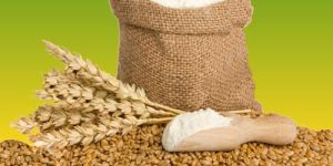 Wheat Flour