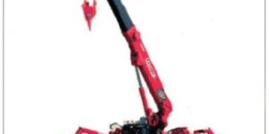 Mini Crawler Cranes