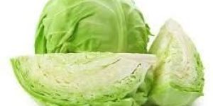 Fresh Cabbage