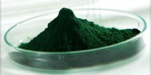 Spirulina Powder
