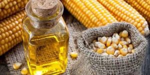 Corn Seed Oil