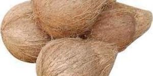 Semi Husked Coconut