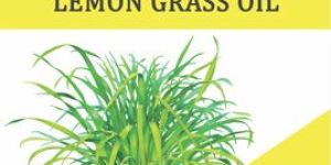 Air Care and Aroma Oils