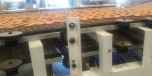 Biscuit Cooling System