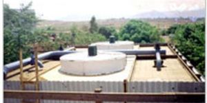 Hot Water Distribution System