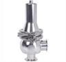 Clean Steam Safety Valve