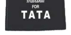 Mud Guard Flap Tata Big