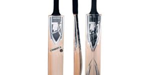 Cricket Bat English Willow - Carbon X