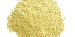 GINGER EXTRACT