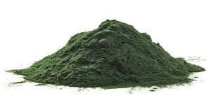 Spirulina Powder