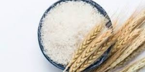 6/4 Non Basmati Rice