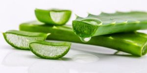 Aloe Vera Pulp
