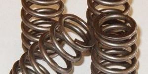 Clutch Springs