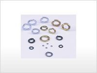 Spring Washers