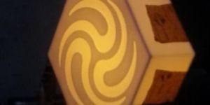 Novelty Acrylic Item