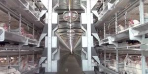 Trolley Feeding System