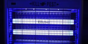 Mosquito Killer Lamp