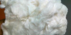 Cotton Comber Noil Waste