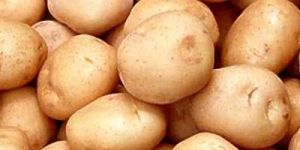 Fresh Potatoes