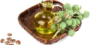 Castor Oil