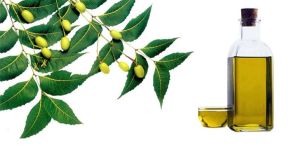 Neem Oil