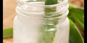 Organic Aloe Vera Pulp
