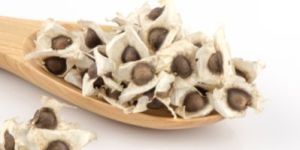 Organic Moringa Seeds