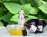 Catnip Essential Oil