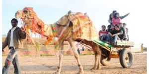 Camel Cart