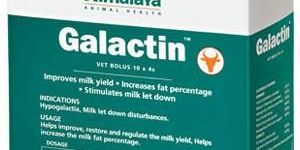 Galactin Vet