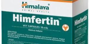 Himfertin Vet