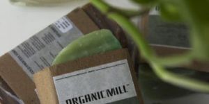 Yang Ylang & Greentea Soap