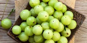 Fresh Amla