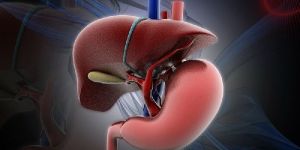 Ayurvedic Liver Syrup