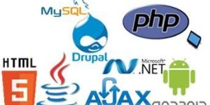 Software Development