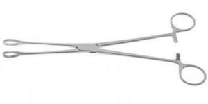 Sponge Holding Forceps 8