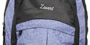 Zwart TRIXAN-DNM 25 L Medium Backpack