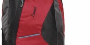 Zwart VEZIK-R 20 L Medium Backpack