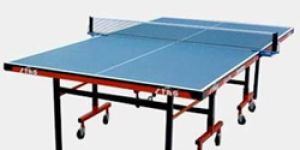 BUTTERFLY TABLE TENNIS TABLE