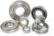 Cylindrical Roller Bearings