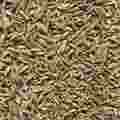 Cumin Seeds