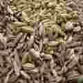 Fennel Seeds