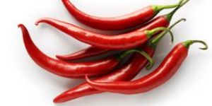 Fresh Red Chilli