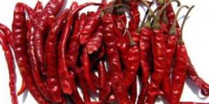 Dried Red Chilli