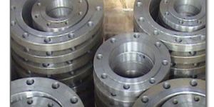 Mild Steel Forged Flanges