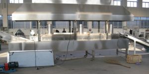 Continuous Fryer