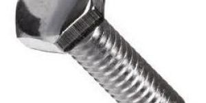 Stainless Steel Bolts
