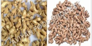 Dried Ginger(Snot)