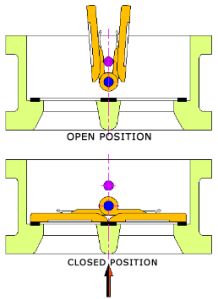 Dual Plate Check Valve (NRV)